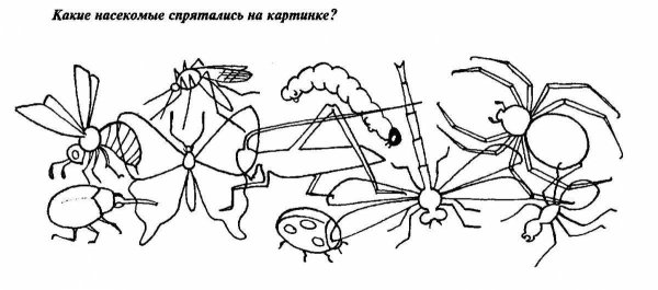 Насекомые задания для дошкольников