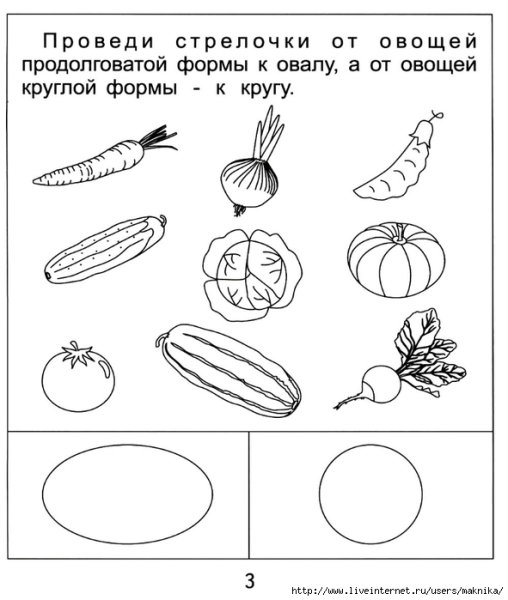 Задания на тему овощи для дошкольников