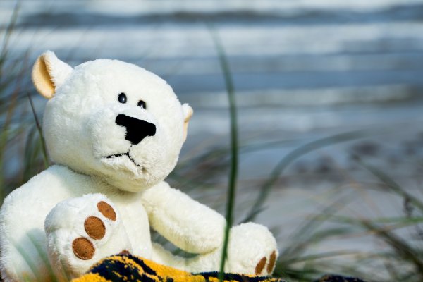 Снеговик мишка