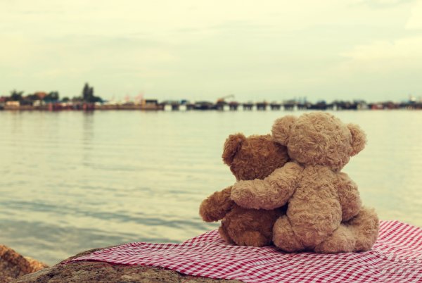 Мишки сидят спиной фото