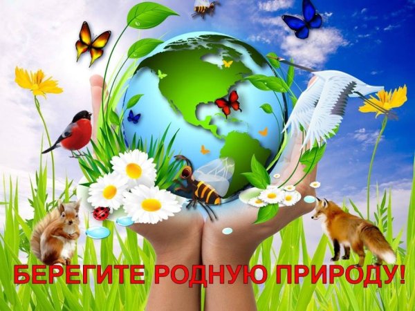 Берегите природу для детей