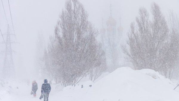 Метель в Ленинградской области
