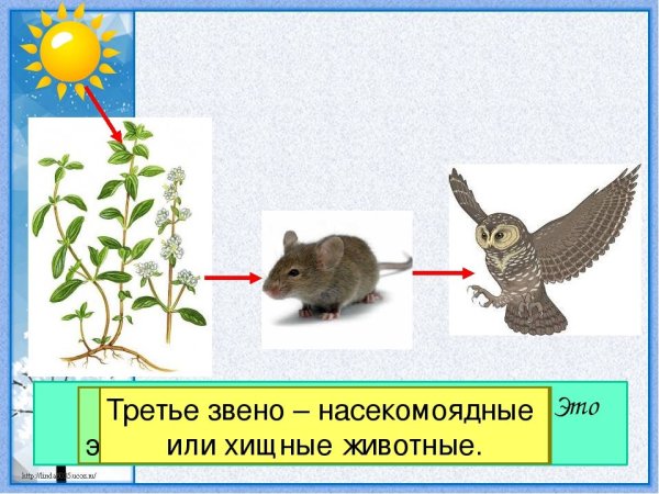 Невидимые нити схема