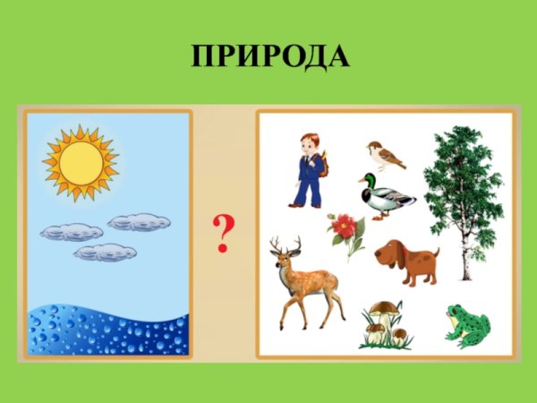 Связь между живой и неживой природой