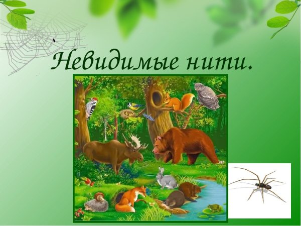 Связи невидимых нитей между растениями и животными