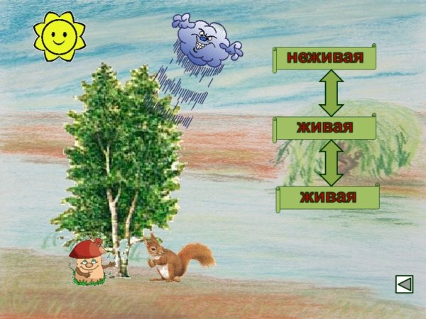 Взаимосвязь живой и неживой природы
