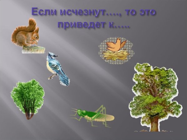 Невидимые связи в природе окружающий мир