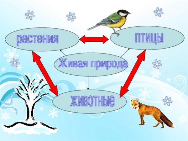Невидимые ниьив зимнем лису
