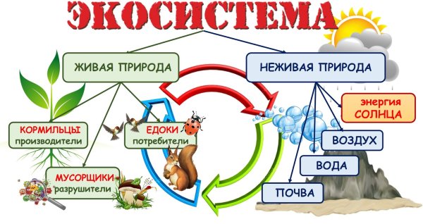 Схема связи живой и неживой природы 2