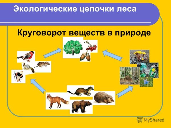 Макрологическая цепочка