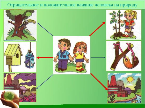 Положительное влияние человека на природу