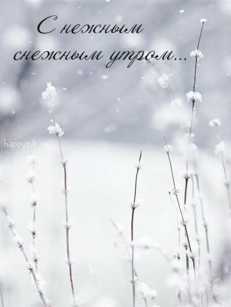 С добрым зимним снежным утром