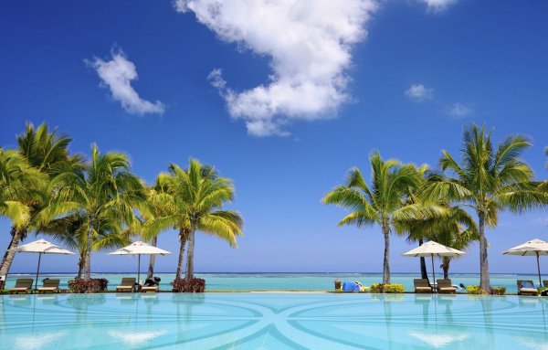 Бассейн пальмы