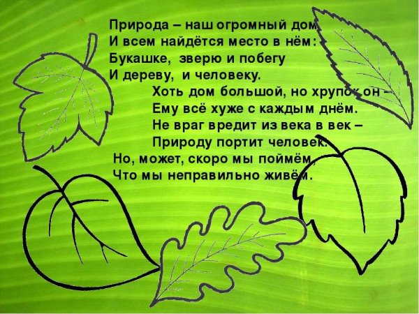 Стихи о природе