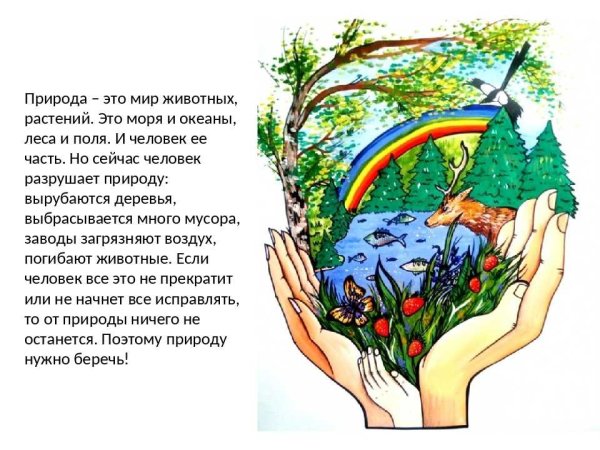 Проект на тему природа и мы