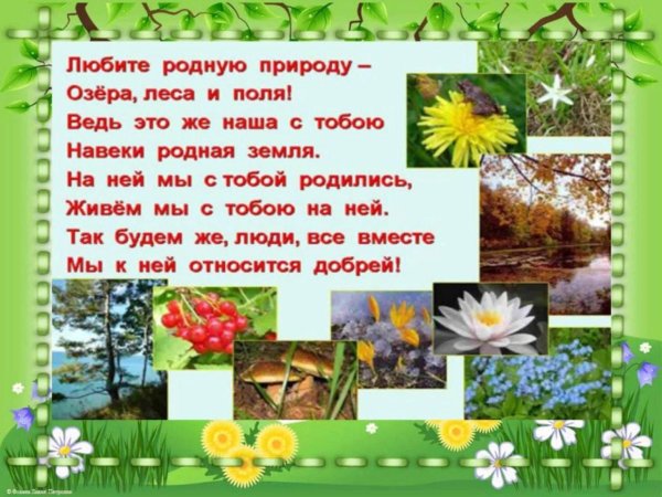 Проект природа и мы