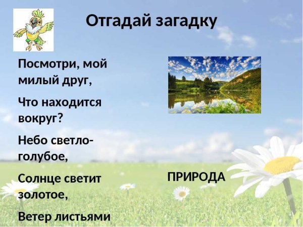 Загадки для детей про природу