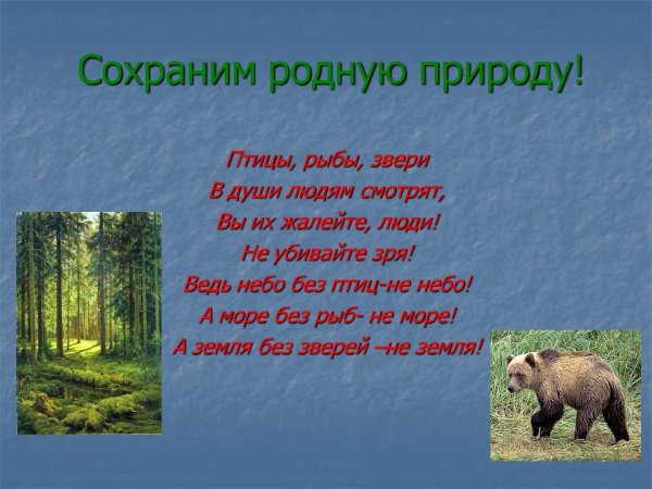 Проект на тему природа