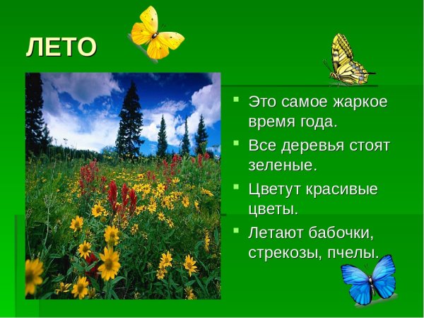 Лето описание