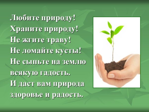 Любите природу храните природу