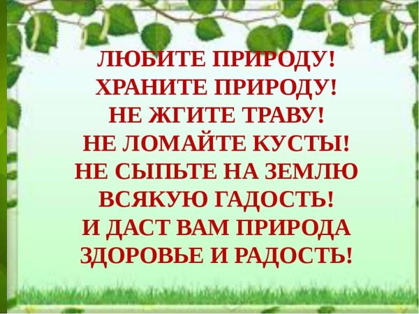 Стих берегите природу