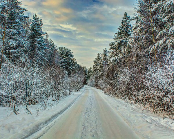 Зимняя дорога в лесу