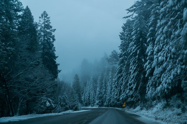 Лес дорога снег