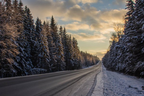 Зима дорога