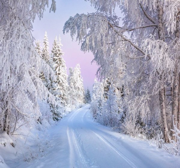 Зимняя сказка финского фотографа Asko Kuittinen.