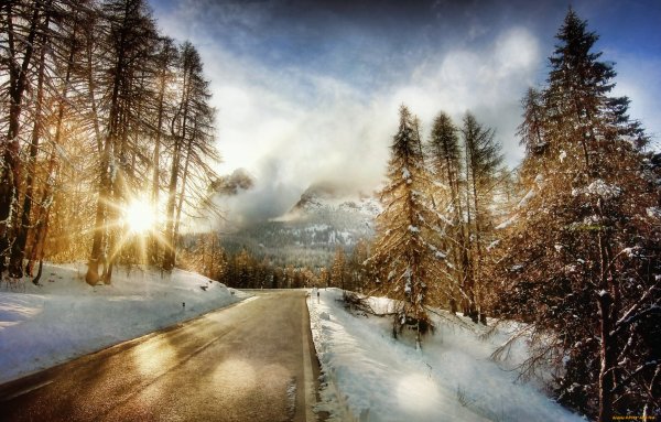 Зима горы лес дорога