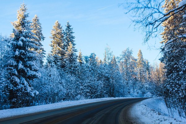 Зимняя дорога