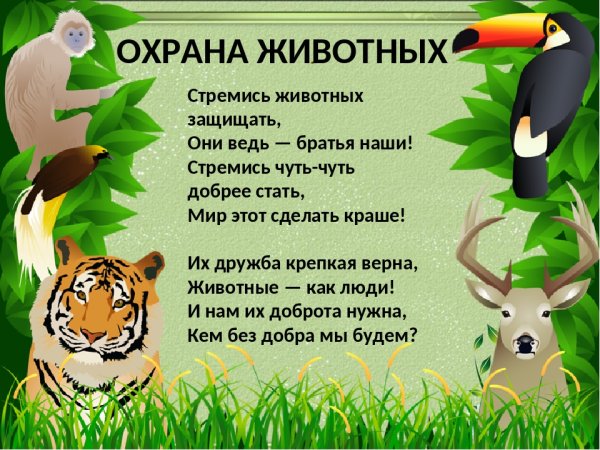 Стих про охрану животных