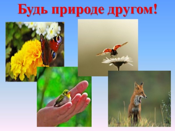 Тема будь природе другом