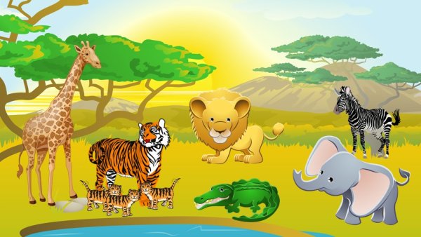 Животные жарких стран