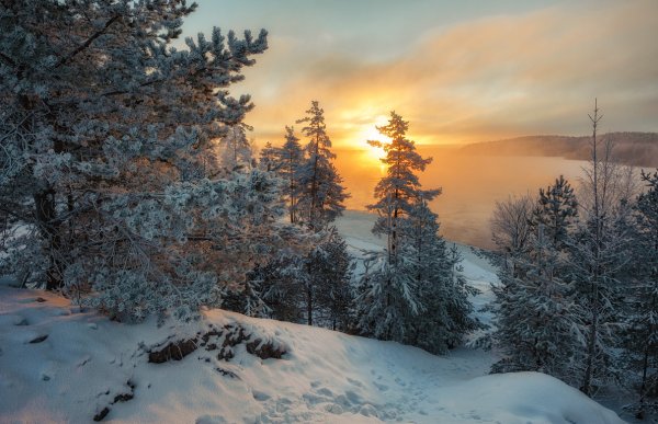 Зимняя Тайга