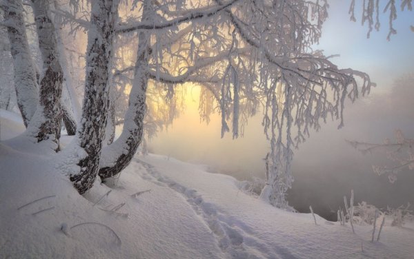 Зима метель