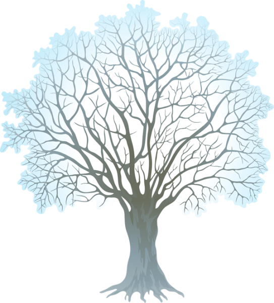 Зимнее дерево для детей