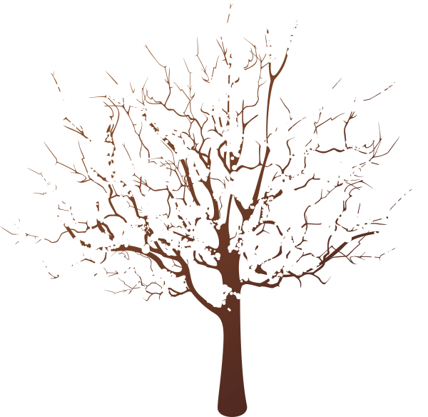 Зимнее дерево силуэт