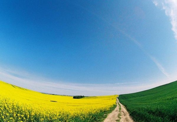 Линия горизонта