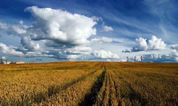 Что такое Горизонт линия горизонта