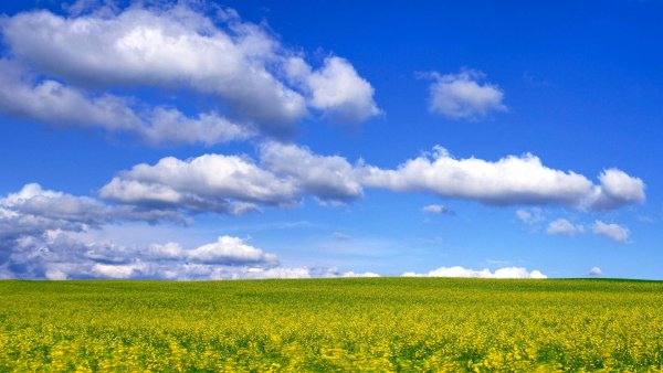 Летнее небо с облаками