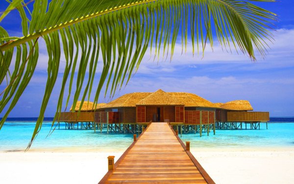 Beach Bungalow Мальдивы