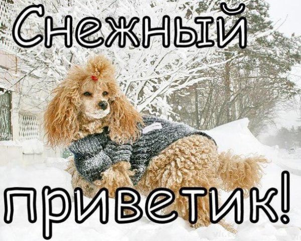 Зимний приветик с добрым утром