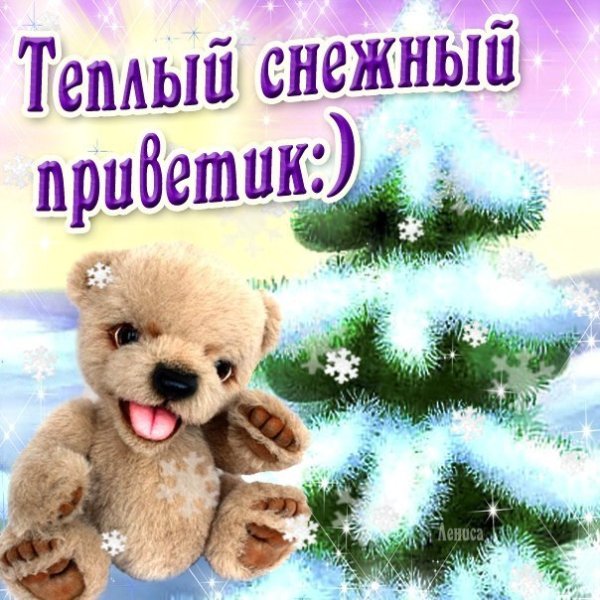 Январский снежный приветик