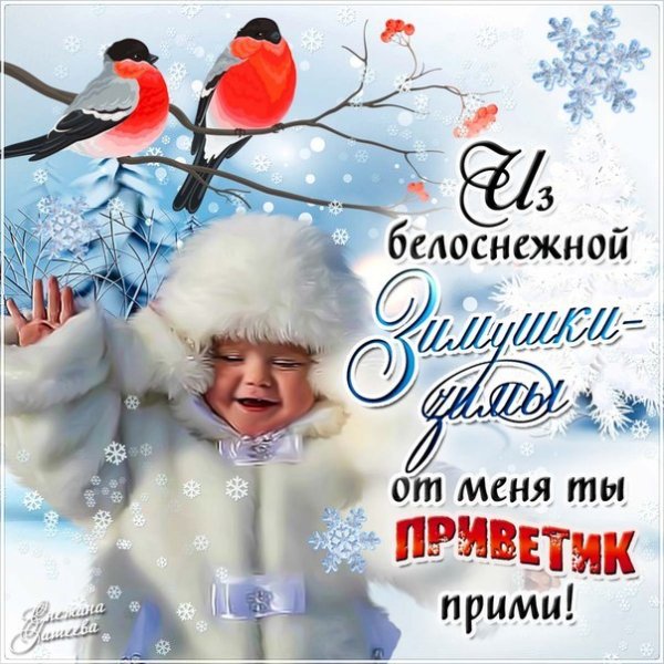 Зимний приветик