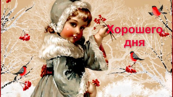 Зимний привет