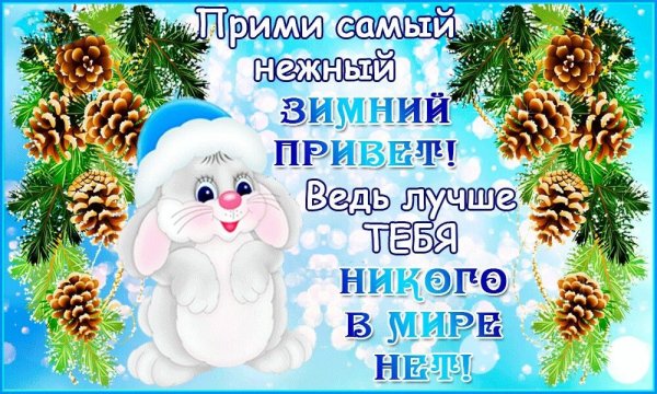 Зимний привет