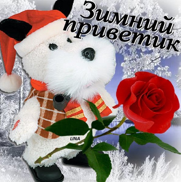 Зимний букетик приветик
