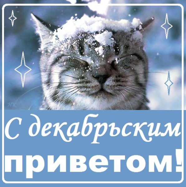 Доброго декабрьского дня
