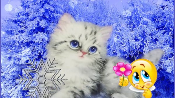 Доброе пушистое зимнее утро